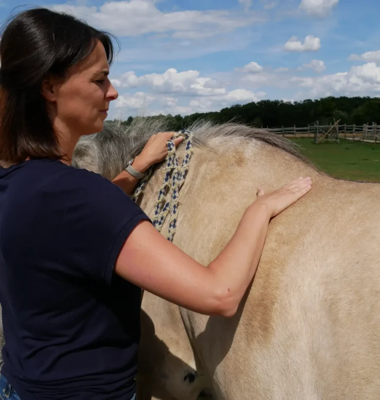 Hundephysiotherapie für mehrPferdeosteopathie, Hundephysiotherapie, Akupunktur im Kreis Heinsberg, Mönchengladbach Christina Effertz - Ganzheitliche Therapeutin für Pferde und Hunde in Heinsberg
